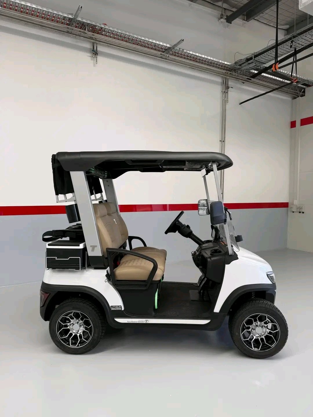 Tara Golf Cart Roadster ELECTRIC 2 SEATER