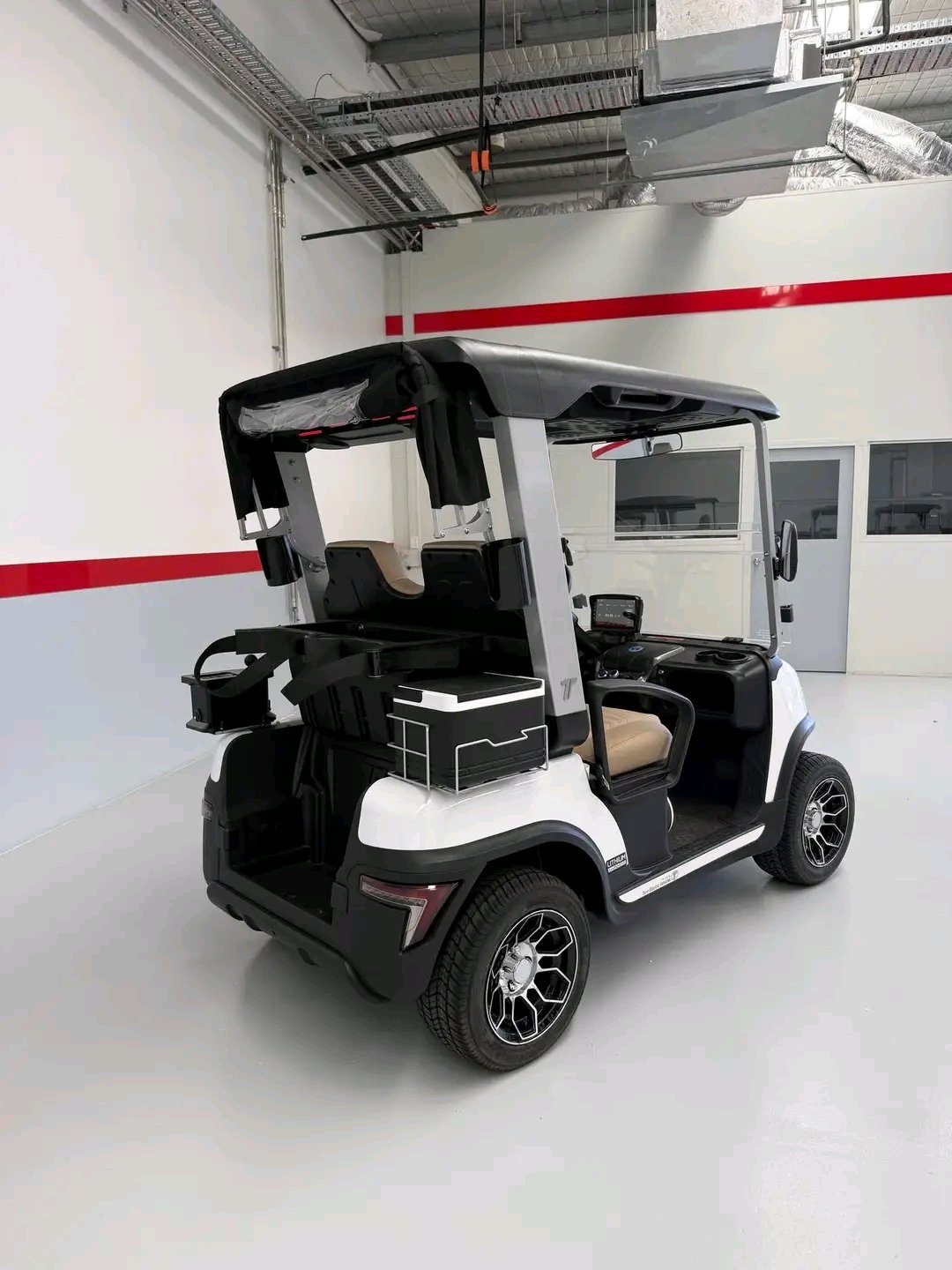 Tara Golf Cart Roadster ELECTRIC 2 SEATER - Image 4