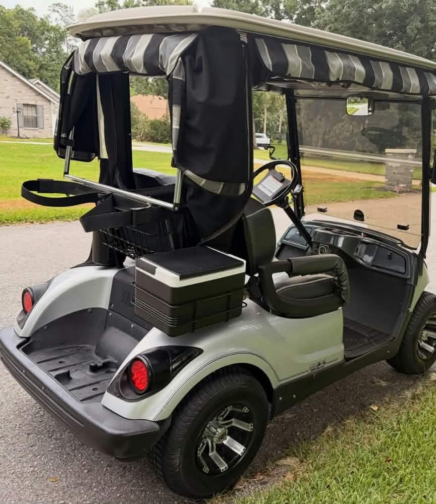 Yamaha Drive2 PTVPower GAS 2 SEATER - Image 4