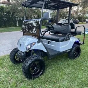 2020 Evolution Classic 4 SEATER ELECTRIC